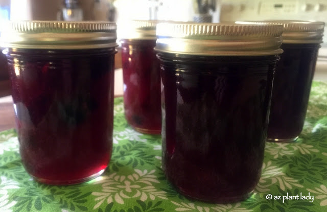 jam recipes