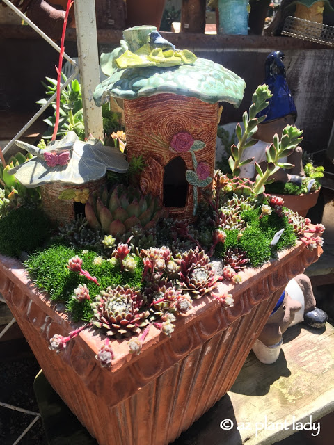 J. Woeste Nursery, fairy garden