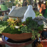 miniature_fairy_succulent_garden_houses_containers-005