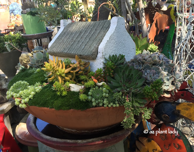 miniature_fairy_succulent_garden_houses_containers-005