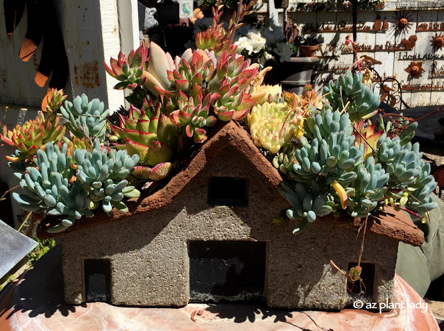 J. Woeste Nursery, fairy garden