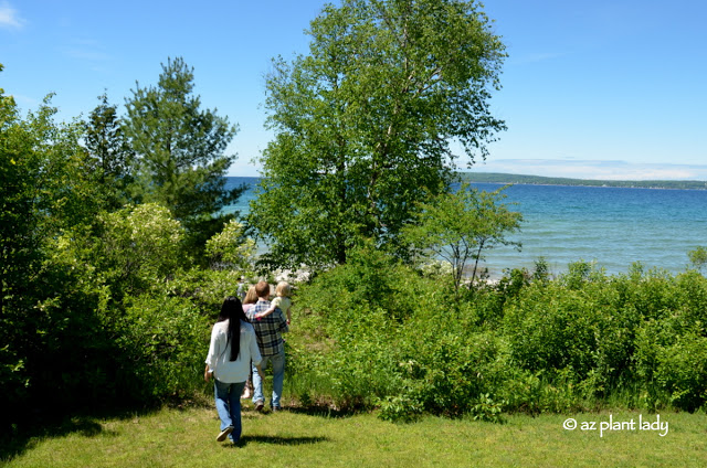 Summer Fun: A New Garden, Hunting for Stones, and an Island Trip