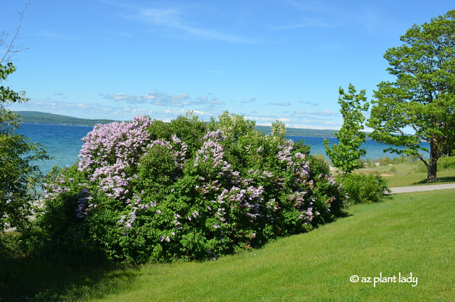 Summer Fun: A New Garden, Hunting for Stones, and an Island Trip