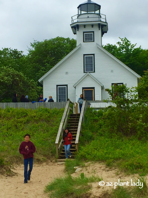 Summer Fun: climb to the top of the lighthouse