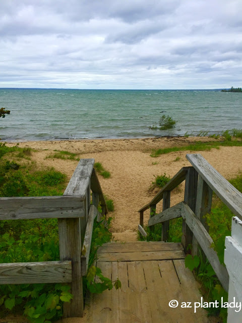 Summer Fun: stormy day