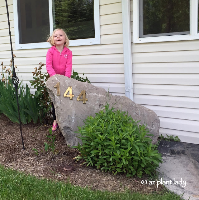 Summer Fun: A New Garden, Hunting for Stones, and an Island Trip