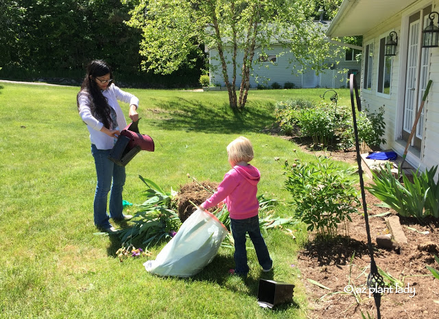 Summer Fun: A New Garden, Hunting for Stones, and an Island Trip