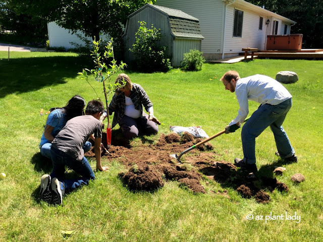 Summer Fun: A New Garden, Hunting for Stones, and an Island Trip