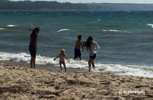 Summer Fun: beach and swim