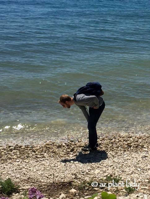 Summer Fun: My son-in-law, the geologist, looking at rocks along the shore of the island.