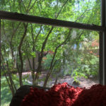window_garden_view_Arizona_garden_Southwest_landscape