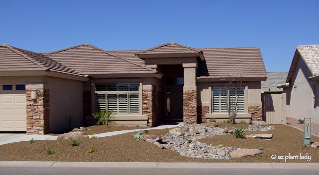 newly-planted landscape