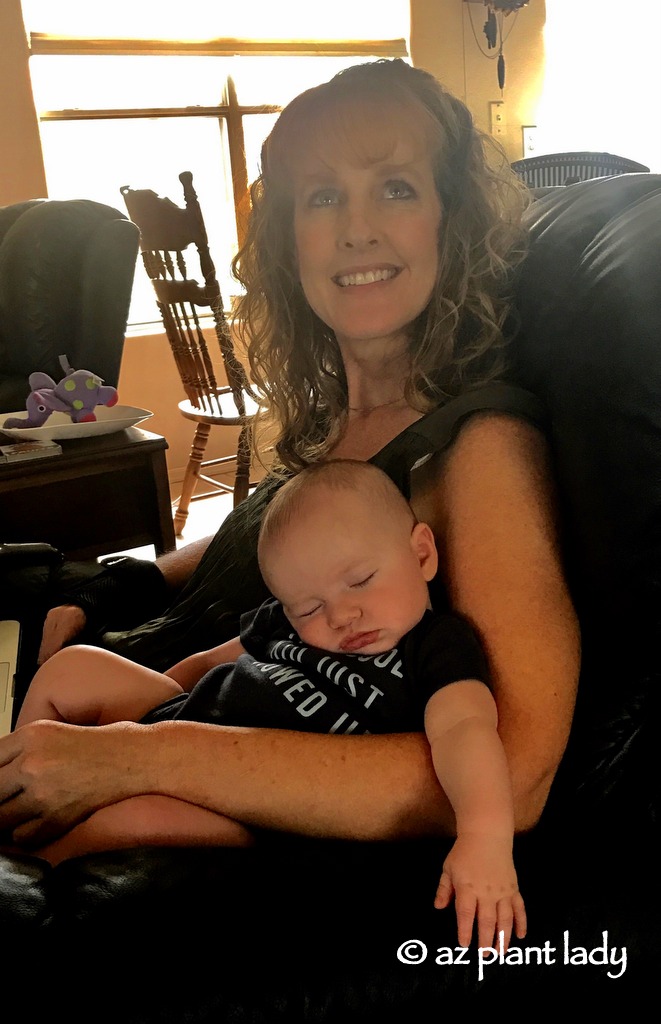 My 3-month old grandson, Leo, slept through most of his first visit to Arizona. 