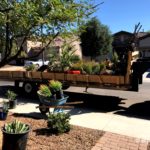 Landscape Renovation