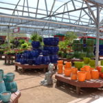 Colorful containers at Civano Nursery, Tucson