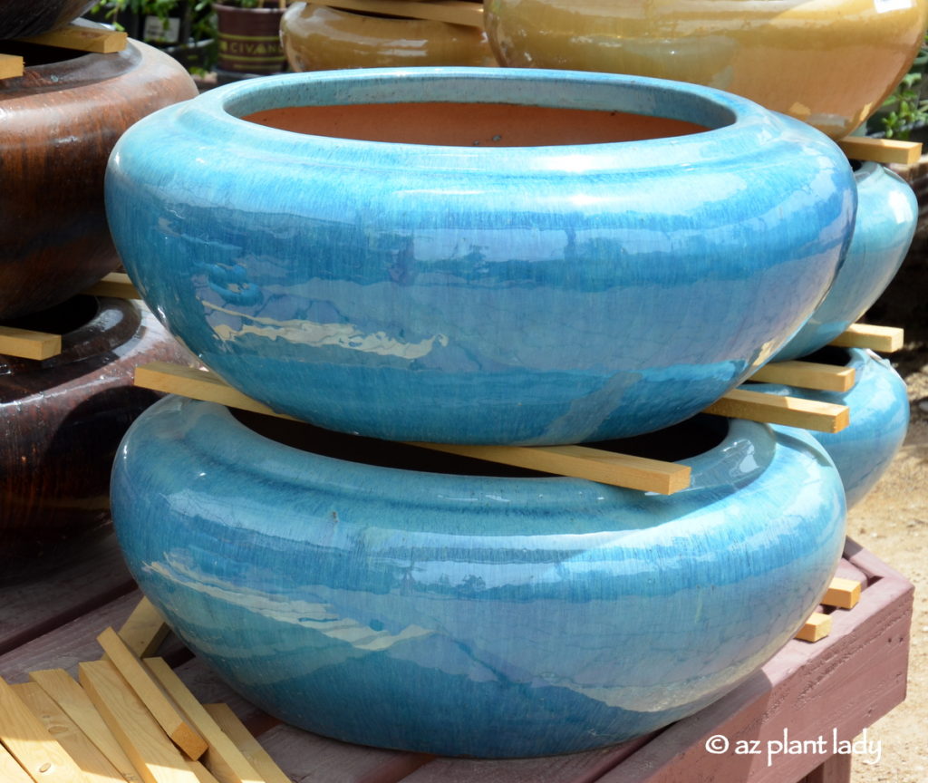 Colorful containers at Civano Nursery, Tucson