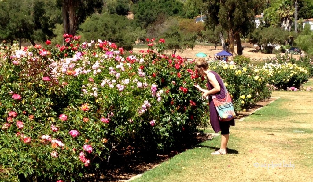 AZ Plant Lady taking time to smell the roses at the Santa Barbara Mission in California.