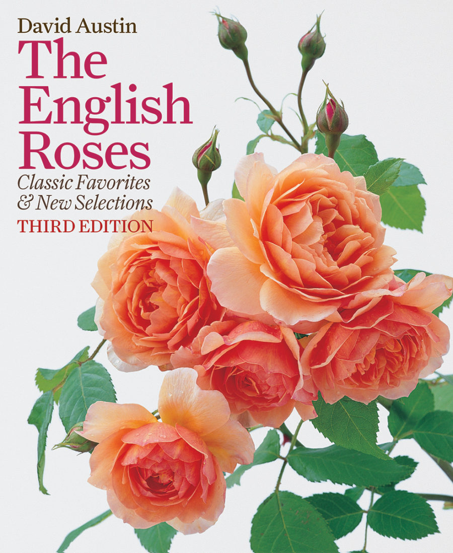 David Austin The English Rose Book Desert Gardening 101 David Austin The English Rose Book Desert Gardening 101