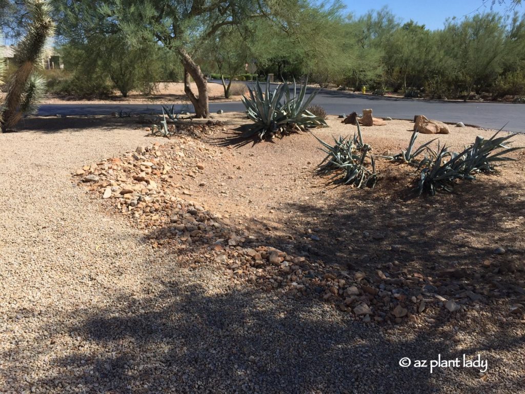 Landscape Dilemma: Colorful Container Before and After Landscape