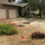 arizona_landscape_xeriscape_firecracker_penstemon