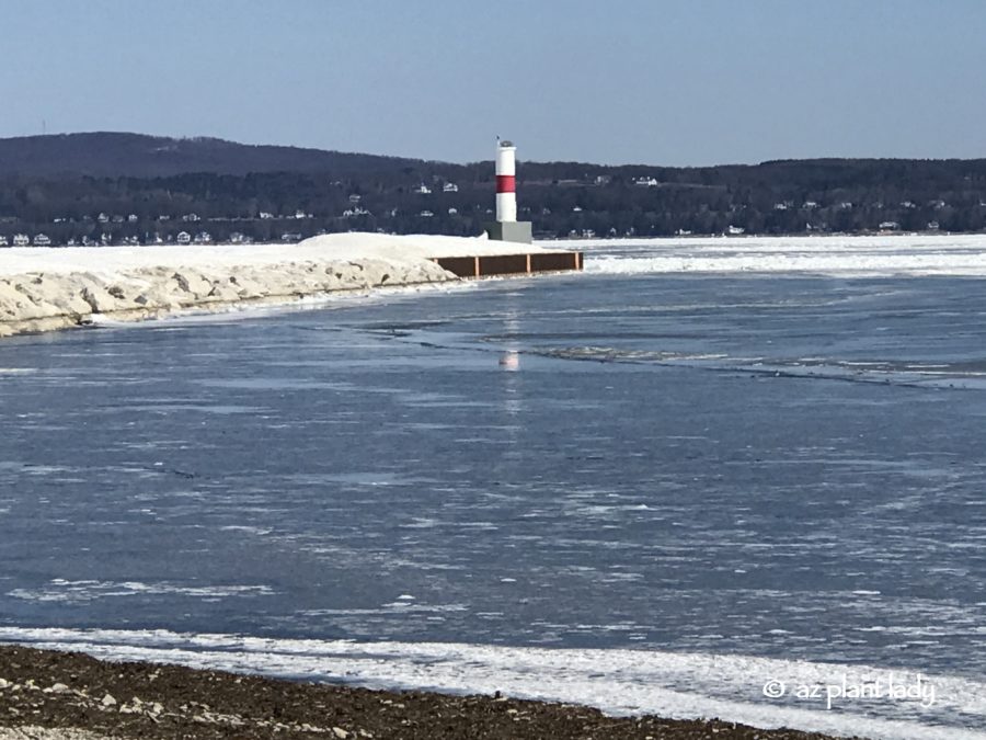 Petoskey_light_house