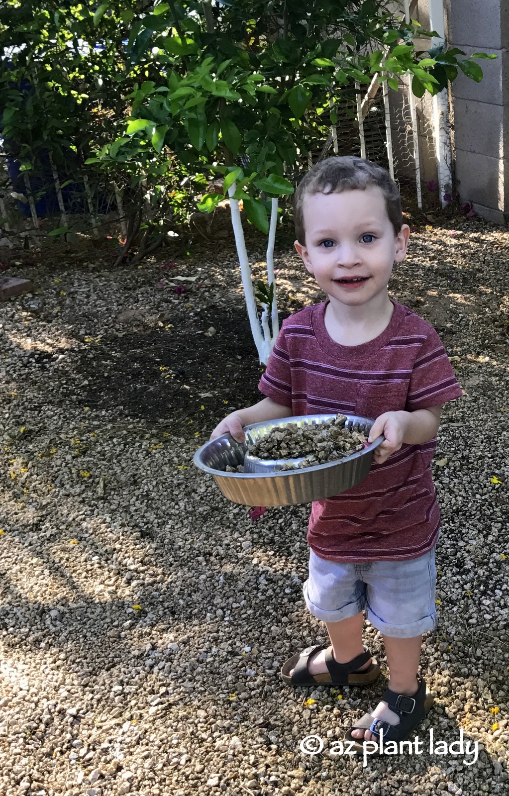 Gardening With Kids