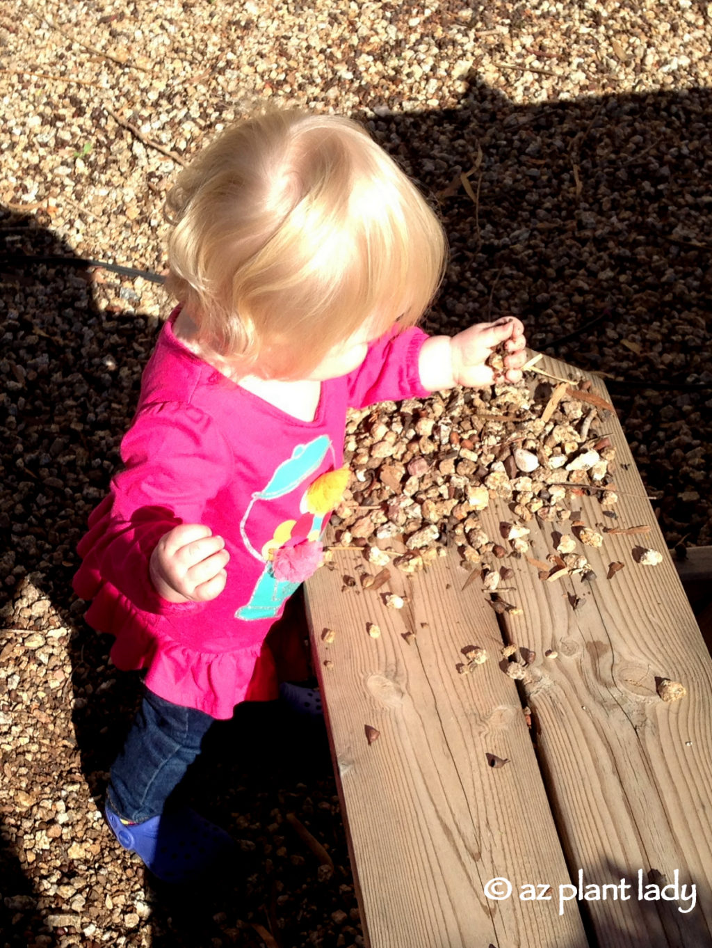  A Love Affair With Rocks