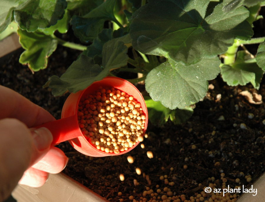 Choose Right Fertilizer for Your Plants