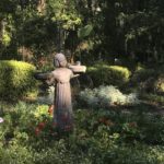 Gardening Adventures in Savannah Botanical Gardens