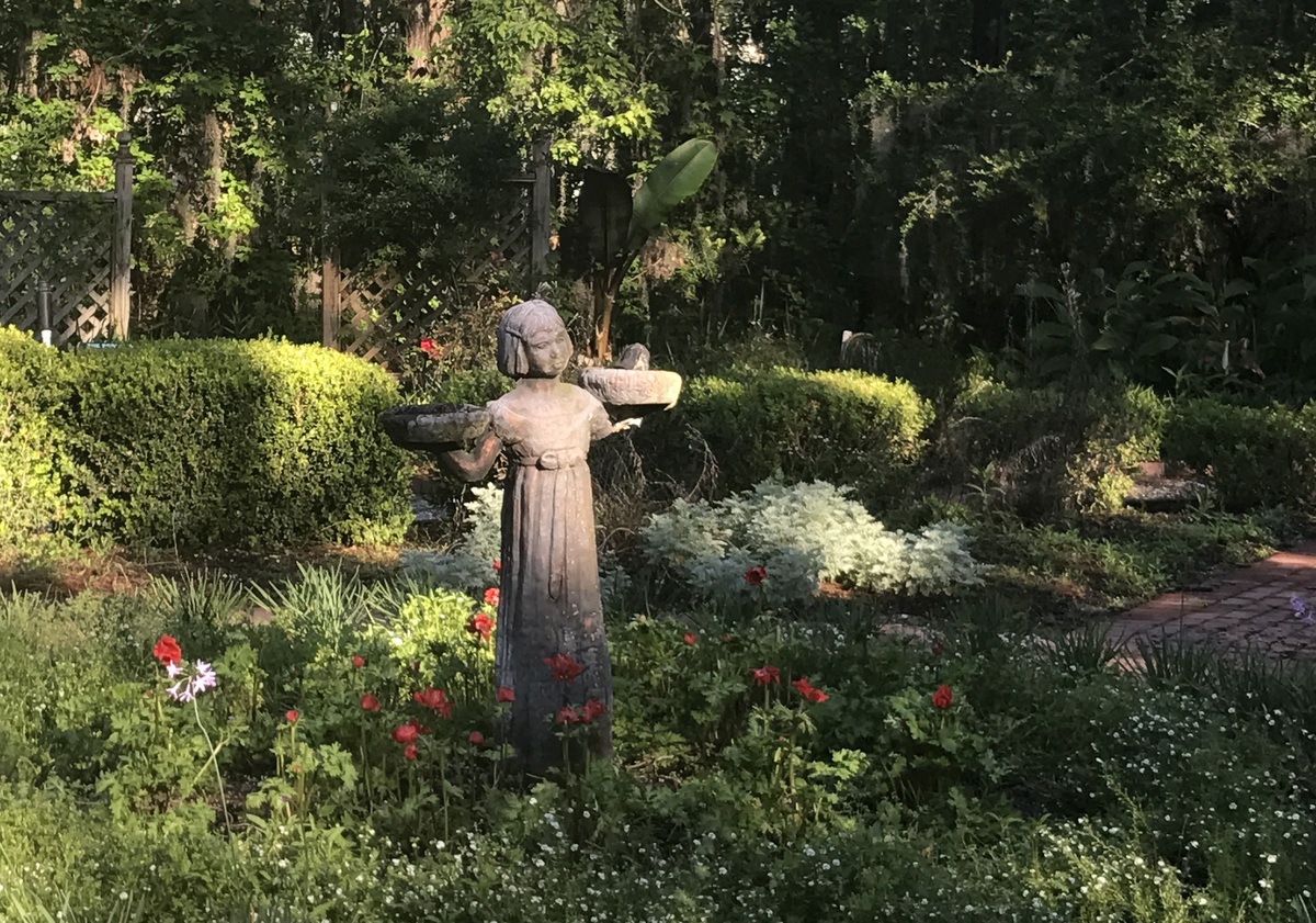 Gardening Adventures in Savannah Botanical Gardens