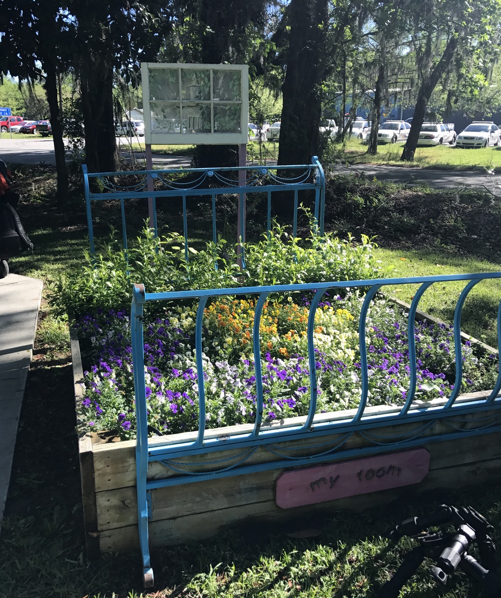 bed of flowers