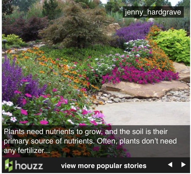 Fertilizer Basics: How To Choose the Right Fertilizer for Your Plants