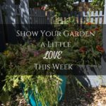 Show Your Garden a Little Love This Week