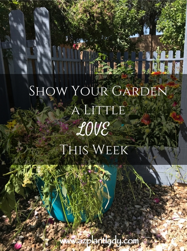 Show Your Garden a Little Love This Week