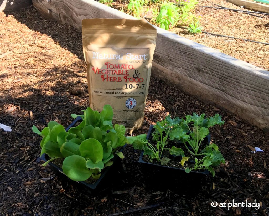 Fertilizer Basics: How To Choose the Right Fertilizer for Your Plants