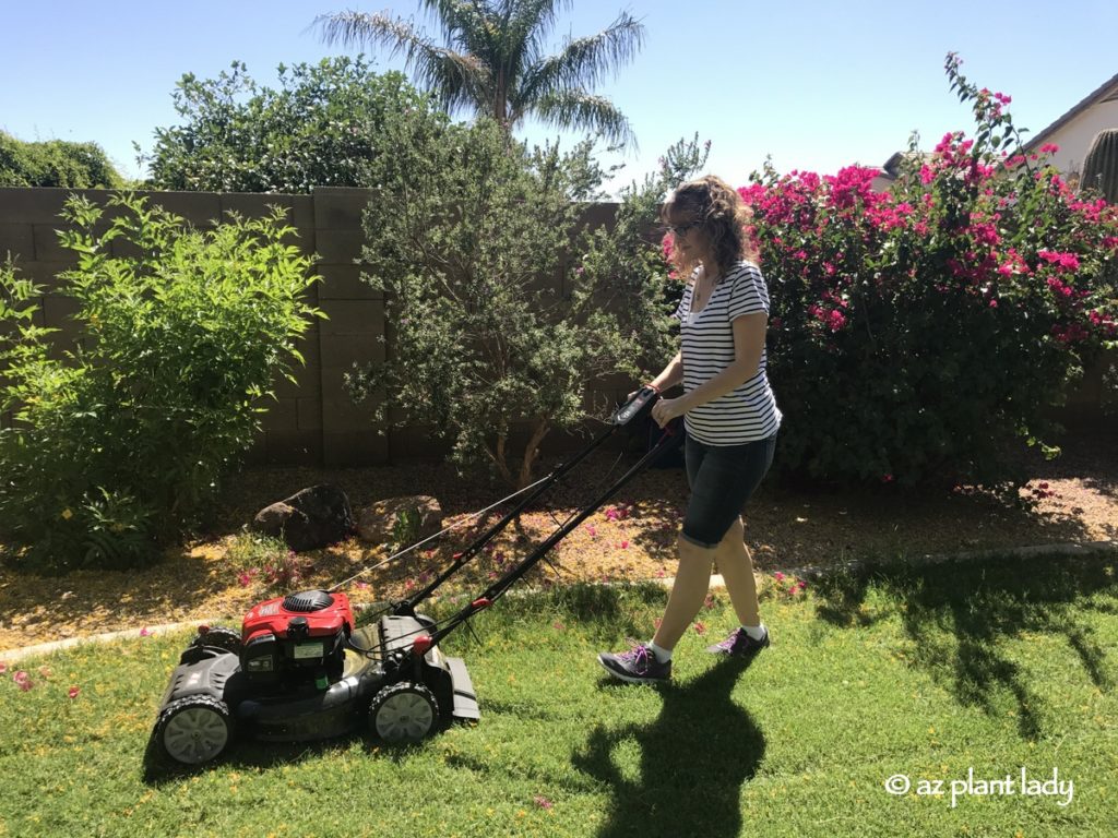 Mow every 4 - 5 days a Healthy Summer Lawn