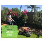 Tips For a Healthy Summer Lawn