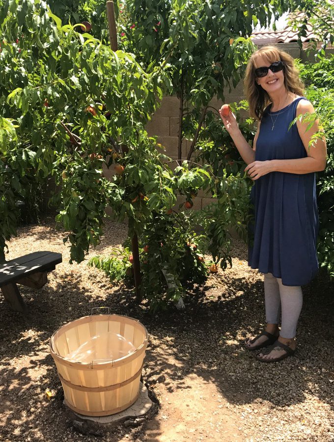 Ramblings from a Desert Garden AZ Plant Lady