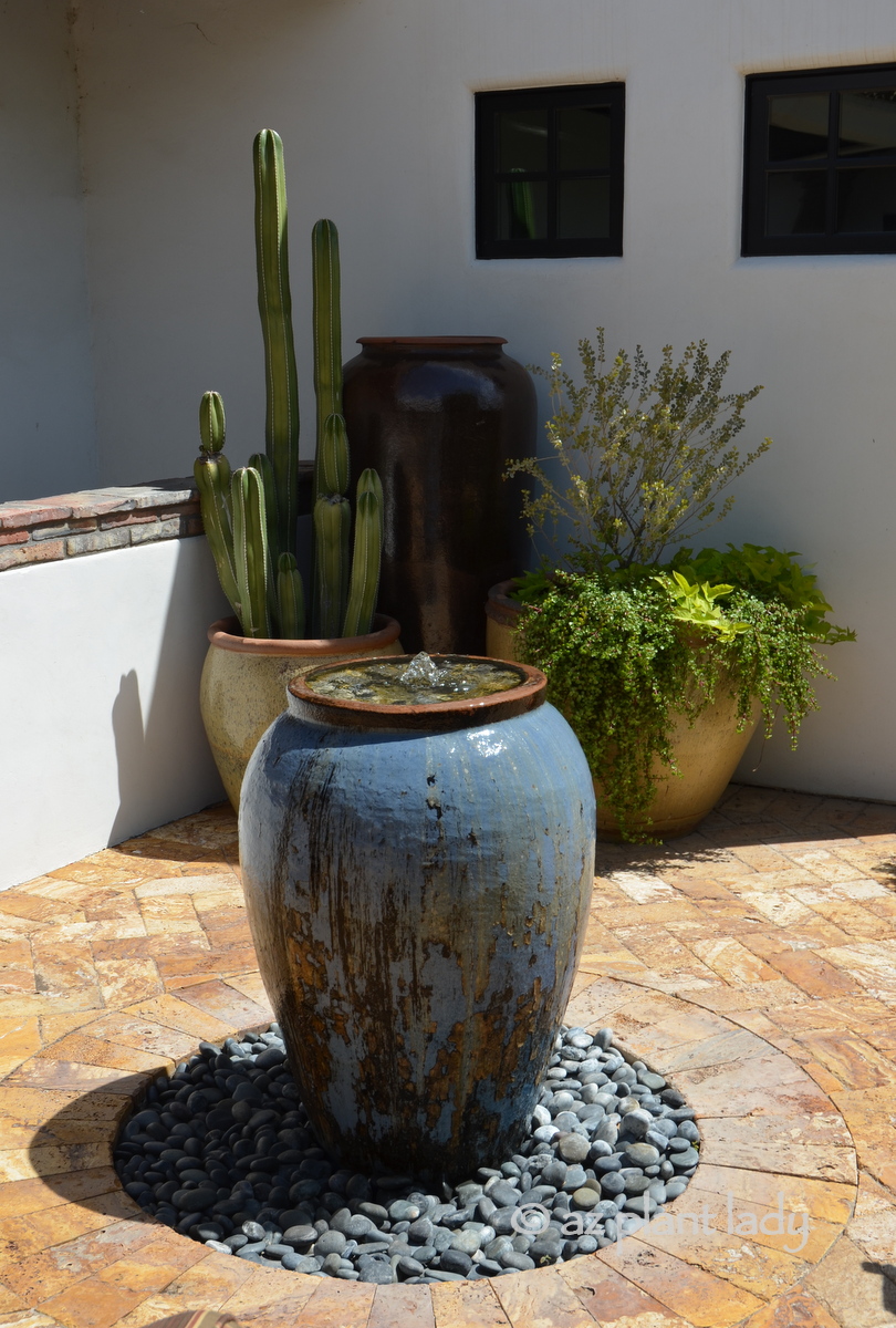 Give Water Features New Life With Succulents