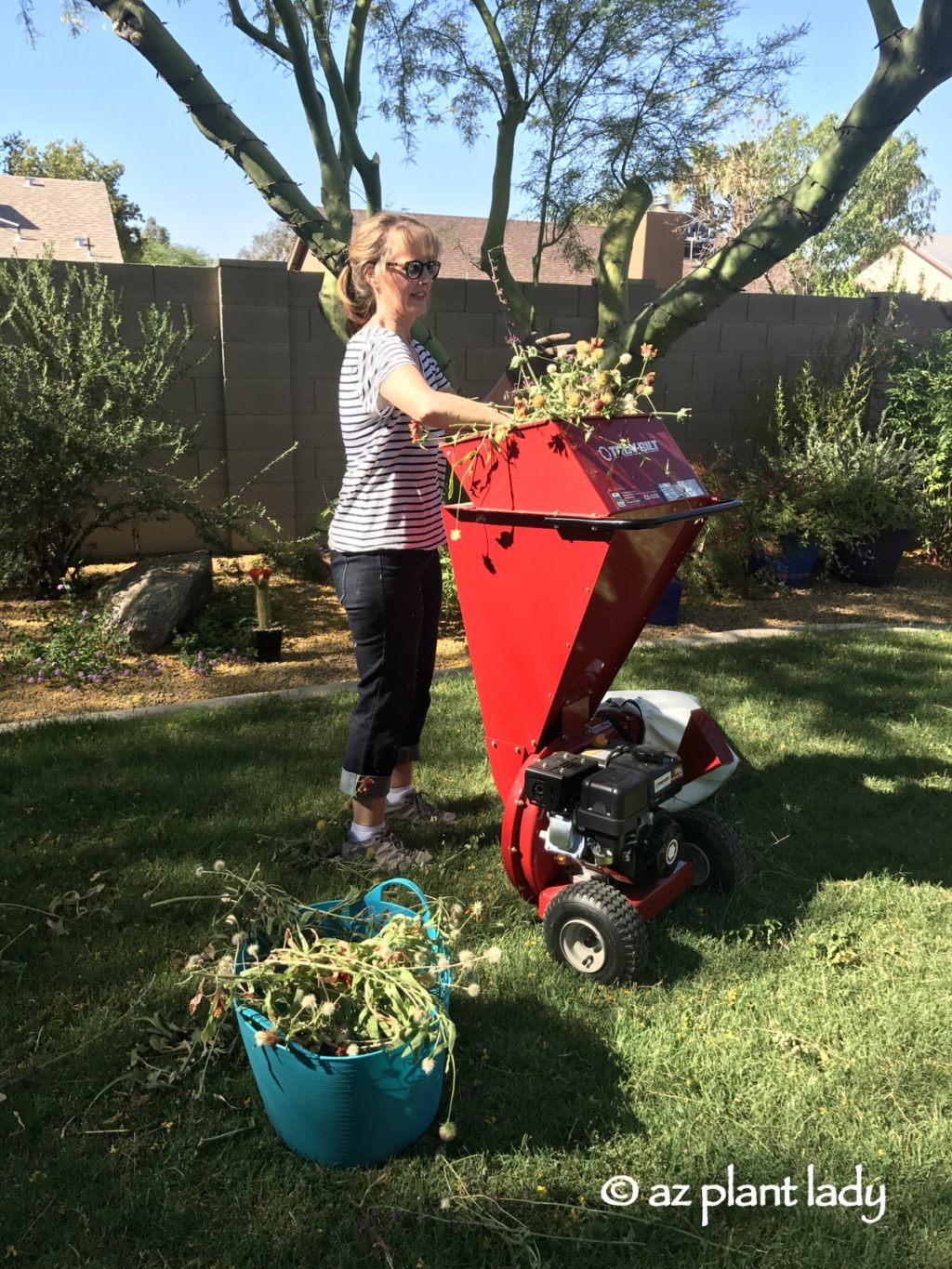 Troy-Bilt Chipper Shredder