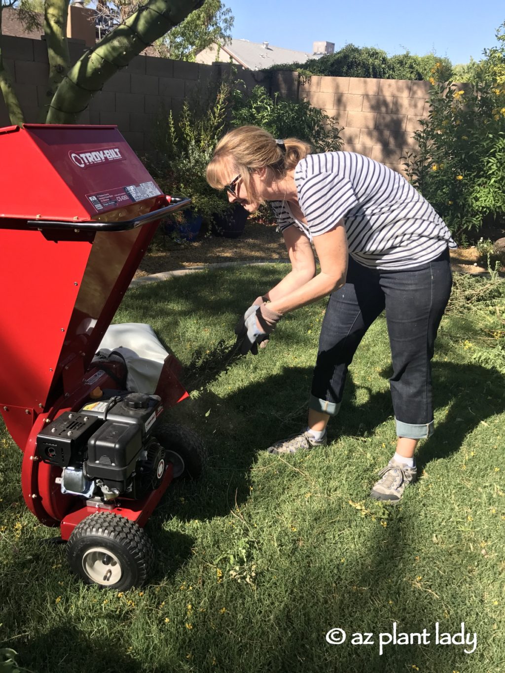 https://www.azplantlady.com/wp-content/uploads/2017/06/TroyBilt_Chipper_Shredder_Product_Review_azplantlady-002-1024x1365.jpg