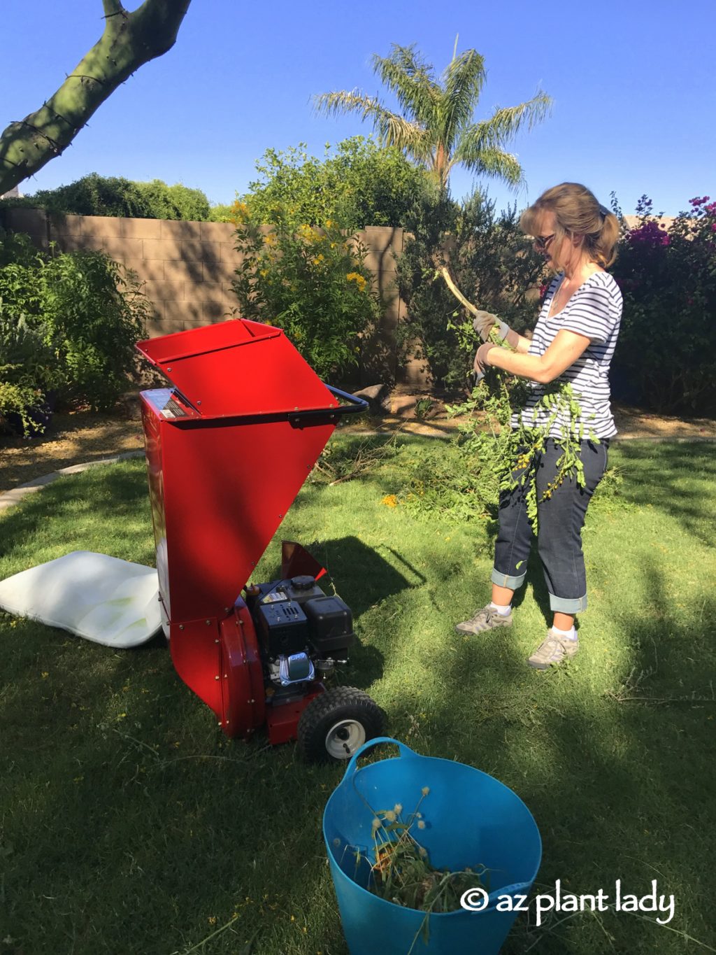 Troy-Bilt Chipper Shredder