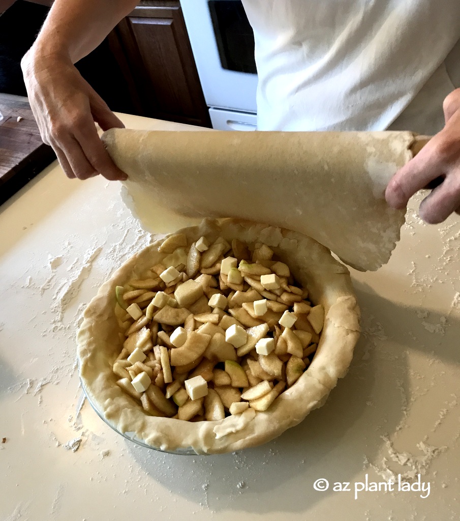 apple pie