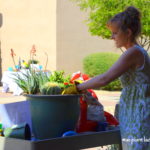 potting-demonstration