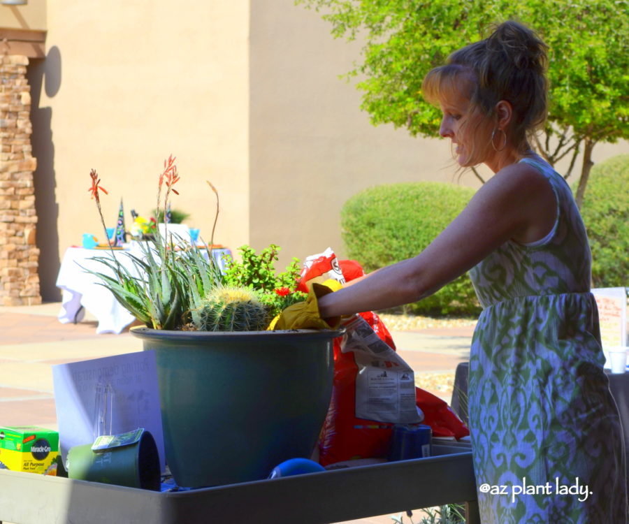 potting-demonstration