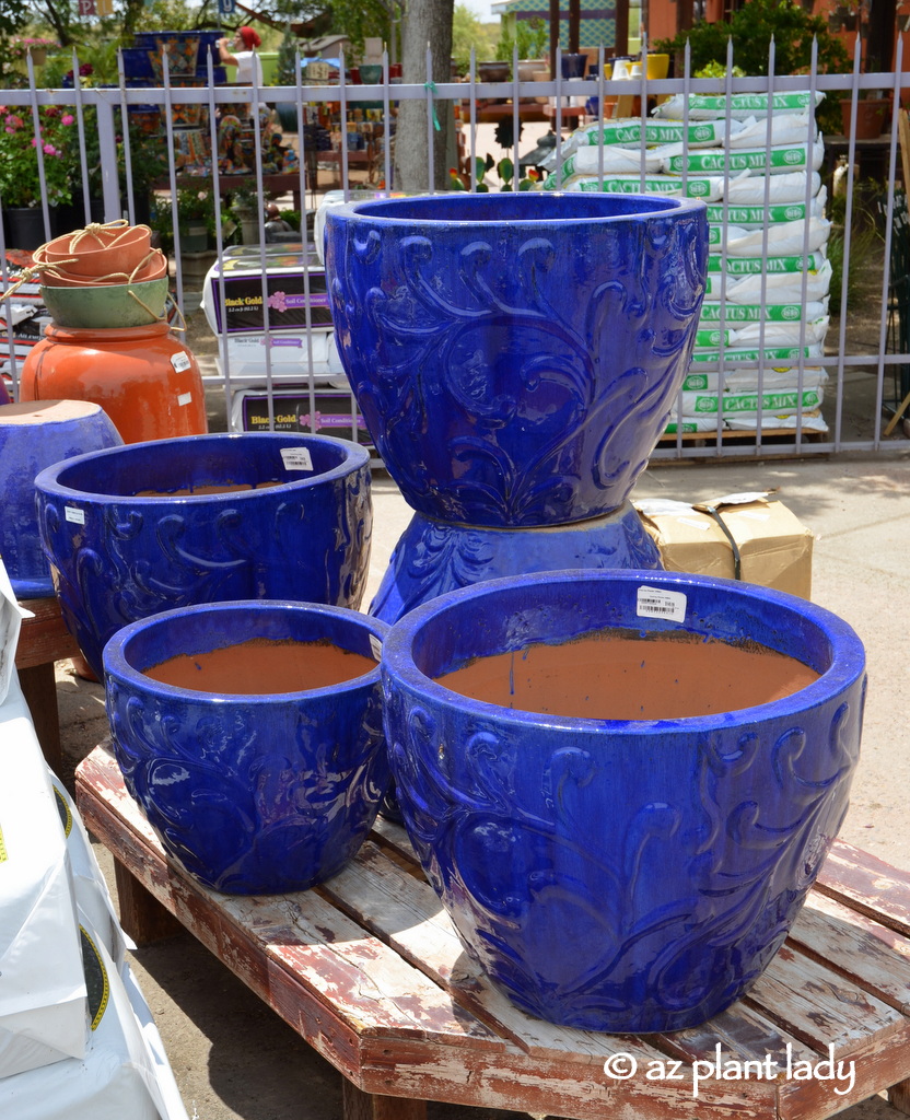 colored containers