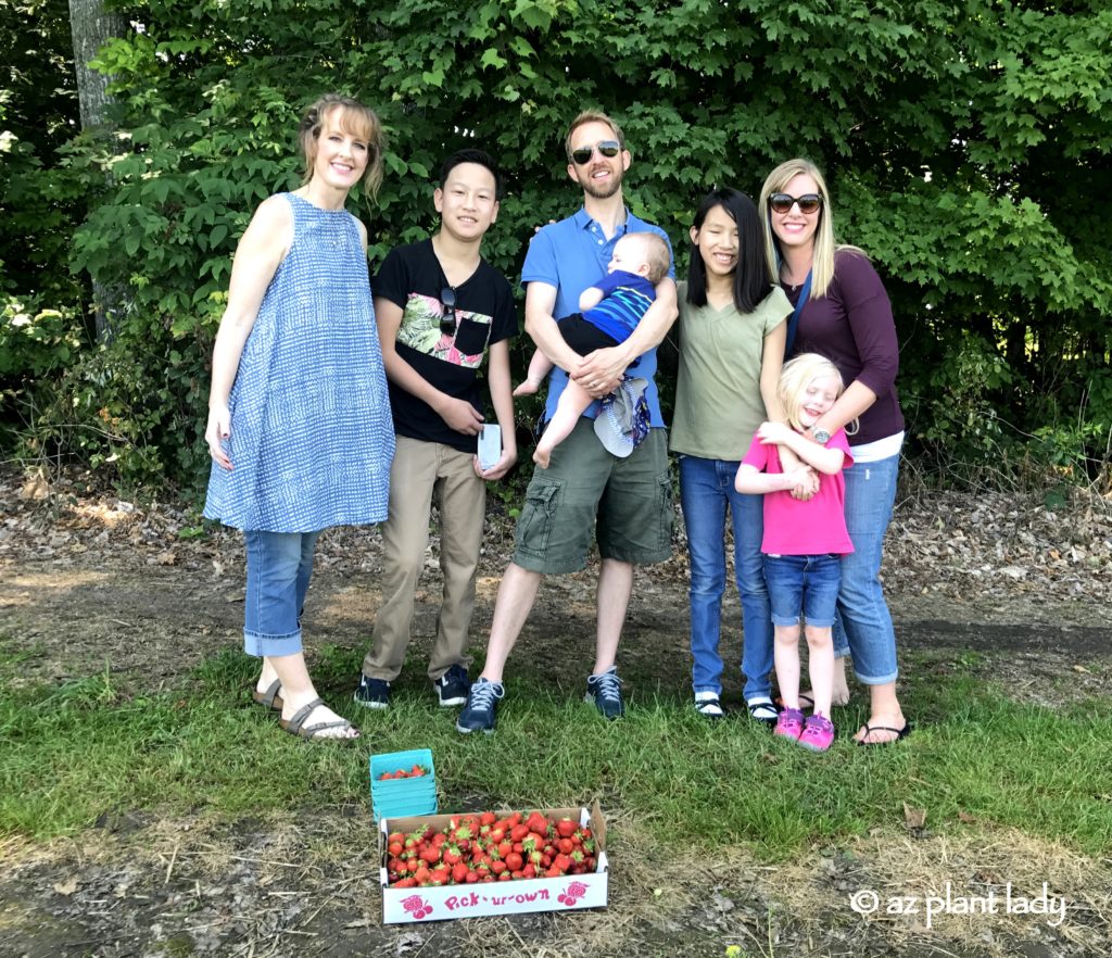 Pick Your Own Strawberries and Cherries