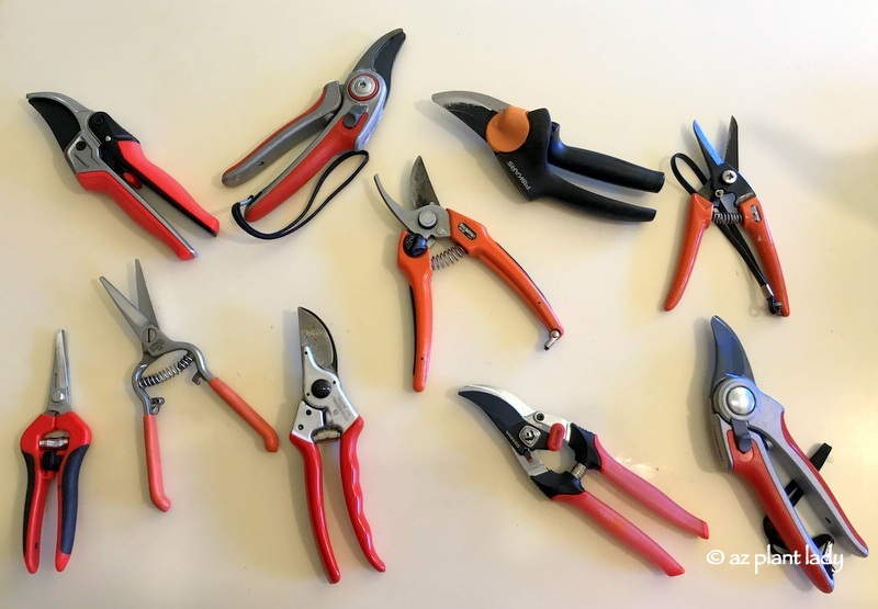 hand pruners , gardening tools