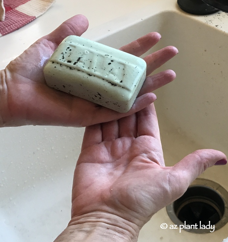 Lava Soap
