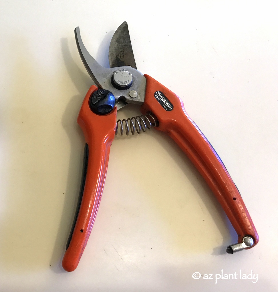 hand pruners , gardening tools